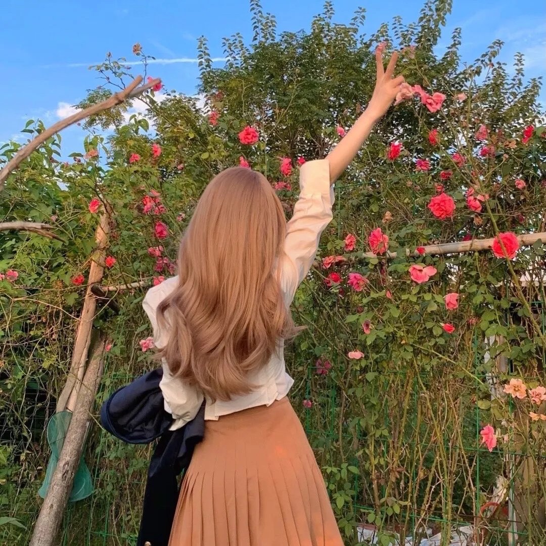 在我姐姐的婚纱里